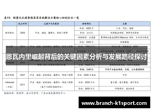 恩瓦内里崛起背后的关键因素分析与发展路径探讨