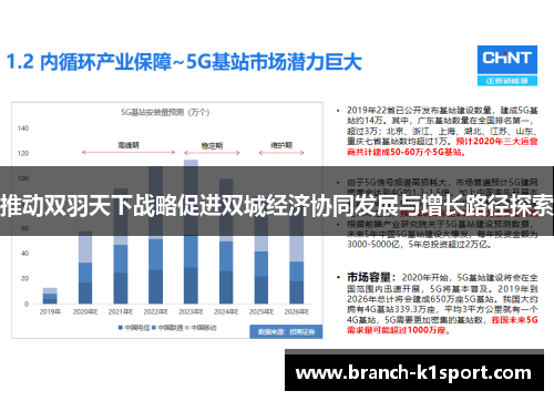 推动双羽天下战略促进双城经济协同发展与增长路径探索