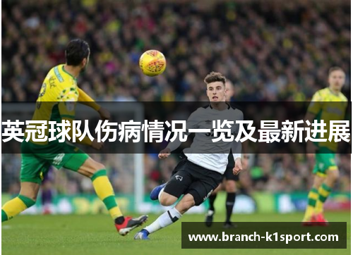 英冠球队伤病情况一览及最新进展