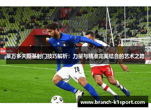 莱万多夫斯基射门技巧解析：力量与精准完美结合的艺术之路