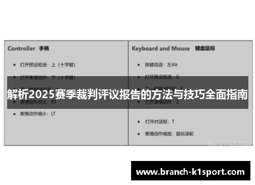 解析2025赛季裁判评议报告的方法与技巧全面指南