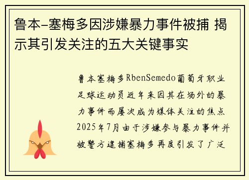 鲁本-塞梅多因涉嫌暴力事件被捕 揭示其引发关注的五大关键事实