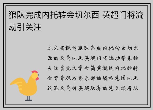 狼队完成内托转会切尔西 英超门将流动引关注