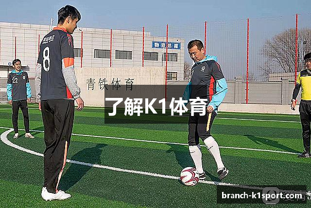 了解K1体育